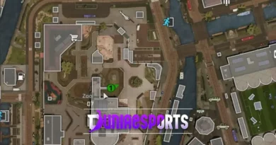 duniaesports