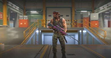 valve
