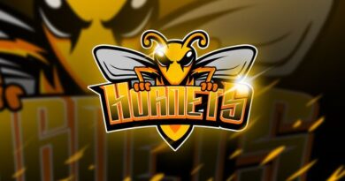 duniaesports