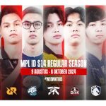 MPL ID S14